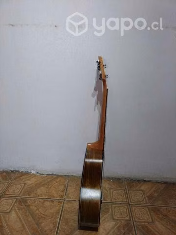 ukelele tenor + funda