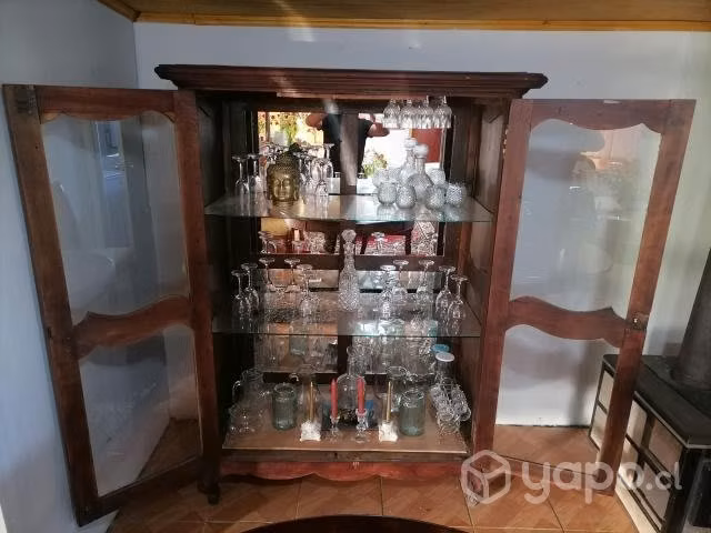 Vitrina normando