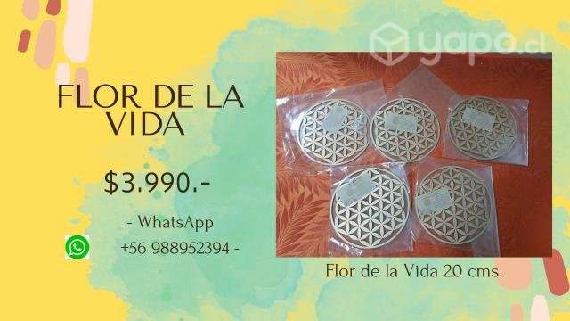 Flor de la vida - Imagen 4