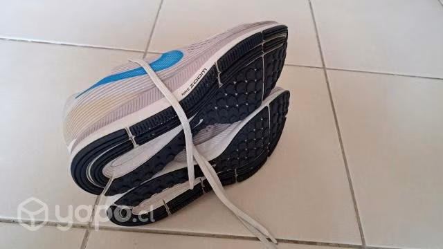 Zapatilla nike zom pegasus