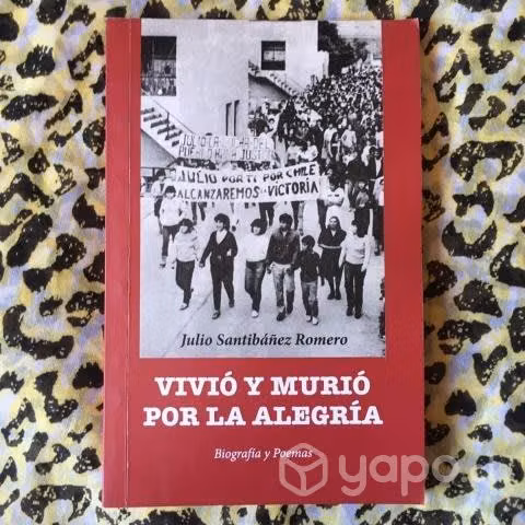 Vivió y murió por la alegría - Julio Santibañez R