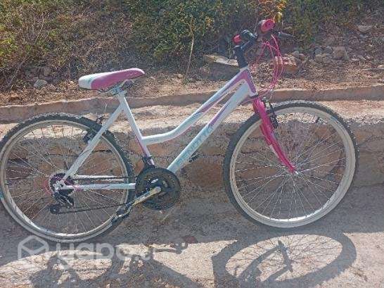 Bicicleta aro 26 - Imagen 2