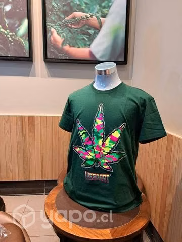 Bellas poleras - Imagen 6