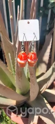 Aritos Cactus - Imagen 3