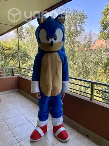 Disfraz corporeo Sonic