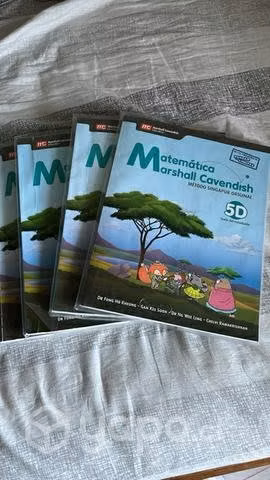 Libro matemáticas 5 y 6 básico
