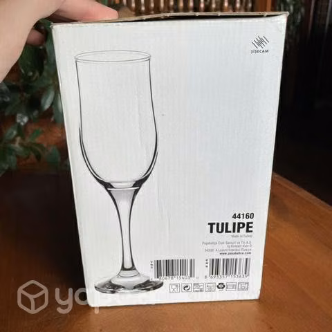 Copas de Champagne 190cc (6unidades)