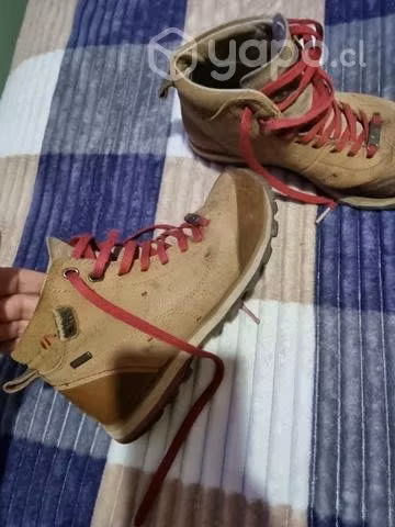 Zapatos lippi n35
