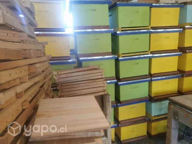 Camara de Cría (cajón de abejas) - Imagen 2