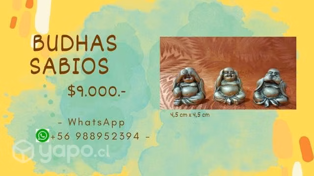 Budhas sabios