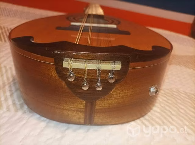 Mandolina electroacústica 10 cuerdas