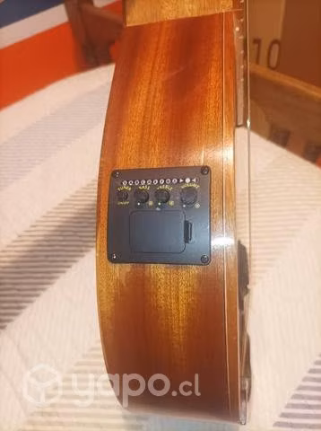 Mandolina electroacústica 10 cuerdas