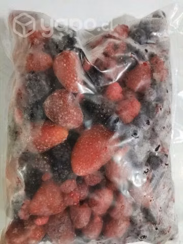 Fruta Congelada