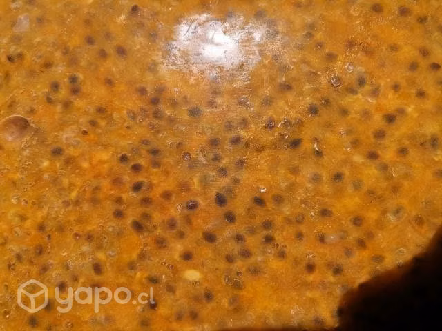 Fruta Congelada