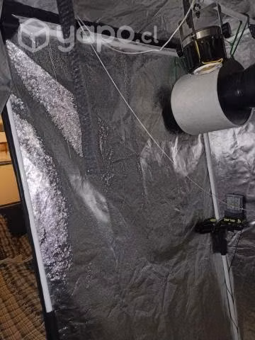 Kit completo indoor 80x80 blackcob