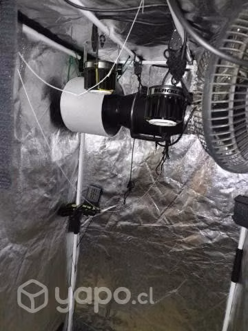 Kit completo indoor 80x80 blackcob