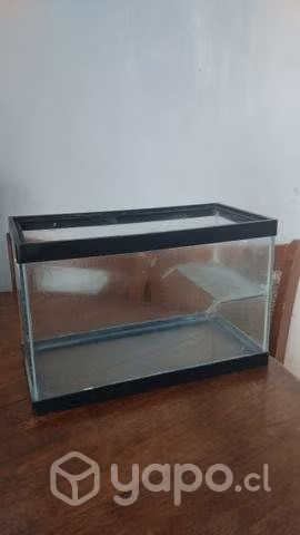 Pecera pequeña