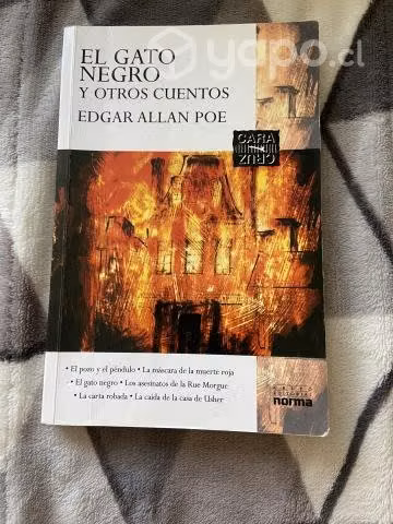 Libro "El gato negro y otros cuentos"