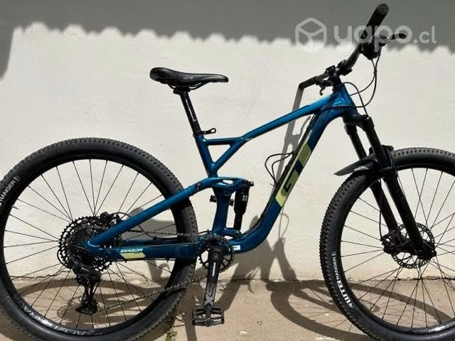 Gt sensor 29