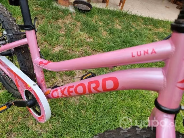 Bicicleta Oxford Luna aro 20 - Imagen 2