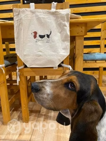 Totebag Basset Hound - Imagen 3