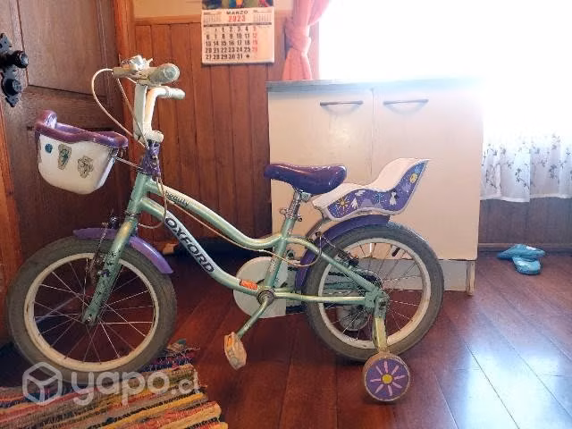 Bicicleta