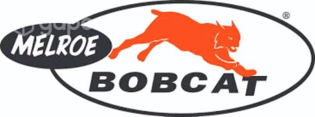 Logo bobcat 123