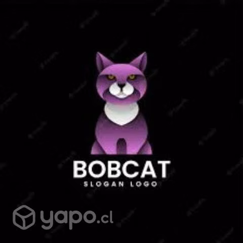 Logo bobcat 119