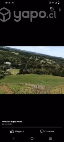 Parcela 1/2 hectárea