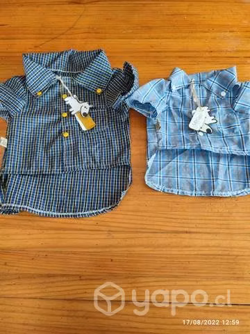 Ropa y accesorios para mascotas - Imagen 2