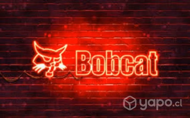 Logo 114 bobcat