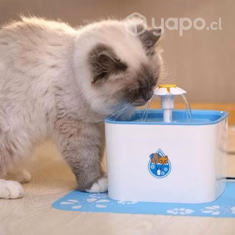 Fuente Flor de Agua Gatos #DR&