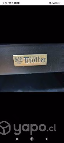 Estufa a combustión lenta Trotter (renovada)
