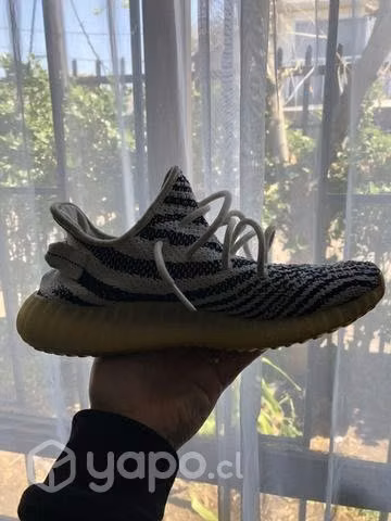 Zapatilla Yeezy zebra - Imagen 3