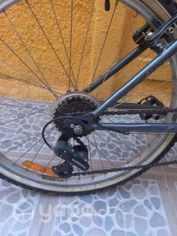 Bicicleta niña aro 24