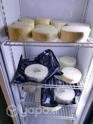 Queso de Cabra - Imagen 3