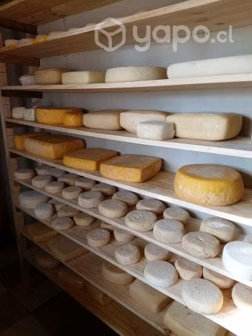 Queso de Cabra - Imagen 2
