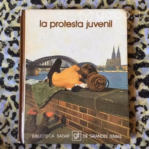 La protesta juvenil