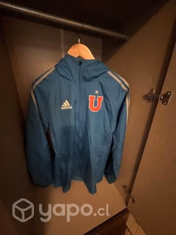 Conjunto de la U año2017