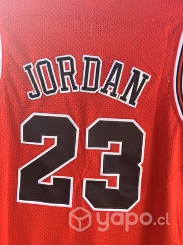 Camiseta Michael Jordan Chicago Bulls NBA