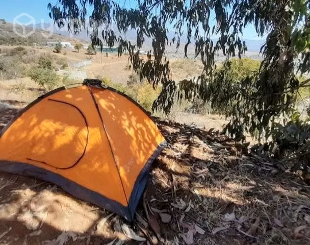 Carpas nuevas - Imagen 2