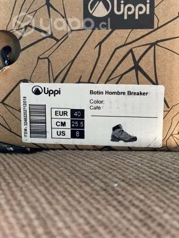 botín Lippi - Imagen 2