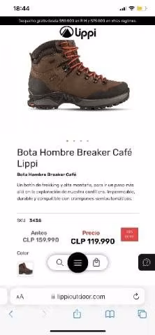 botín Lippi - Imagen 4