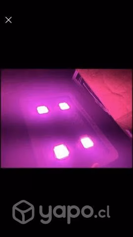 Luces led para cultivo profesional