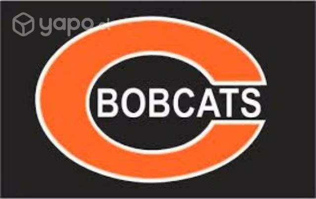 Logo 101 bobcat