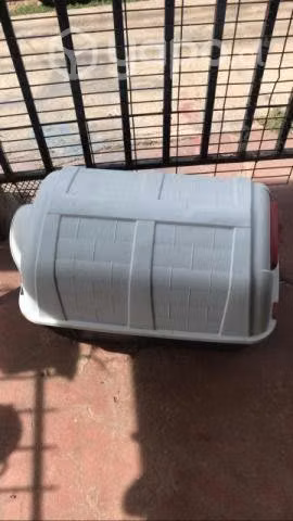 Casa perrito raza mediana, pequeño