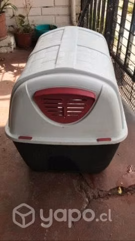 Casa perrito raza mediana, pequeño