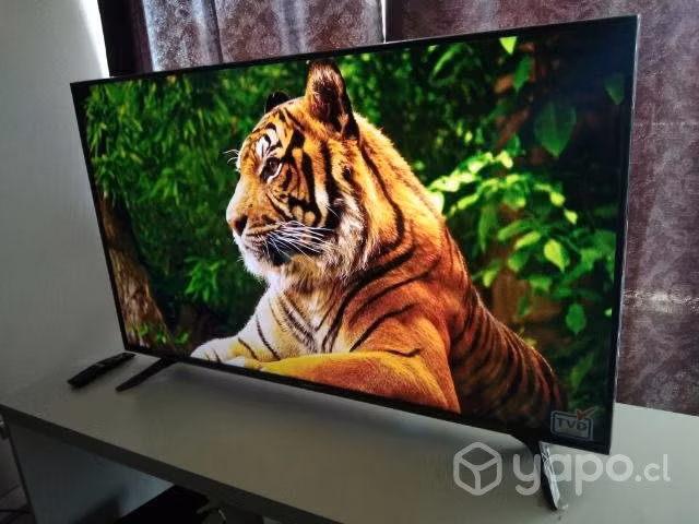 TV Master G ultra HD 4K 55" - Imagen 3