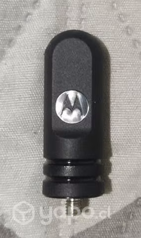 Radio motorola tlk100