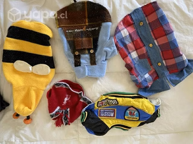 Ropa perrito